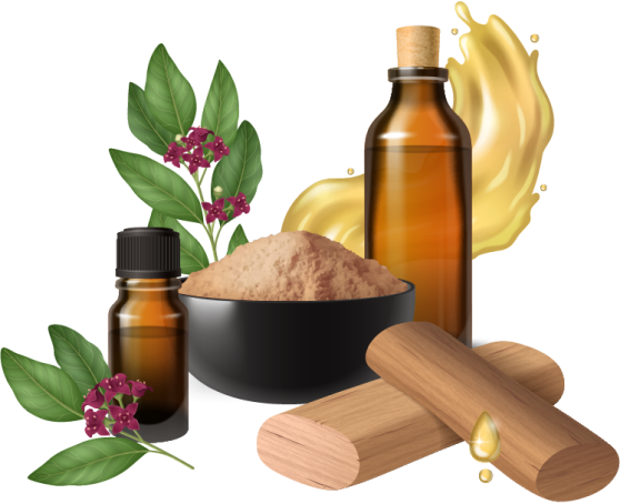 Pure Ayurveda Hero